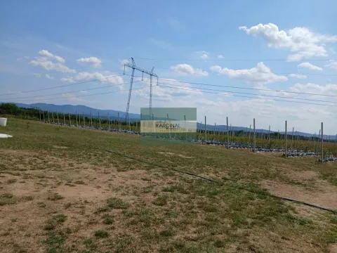 Prodaja, plac, 285100m², Medjureč, Jagodina - image 13
