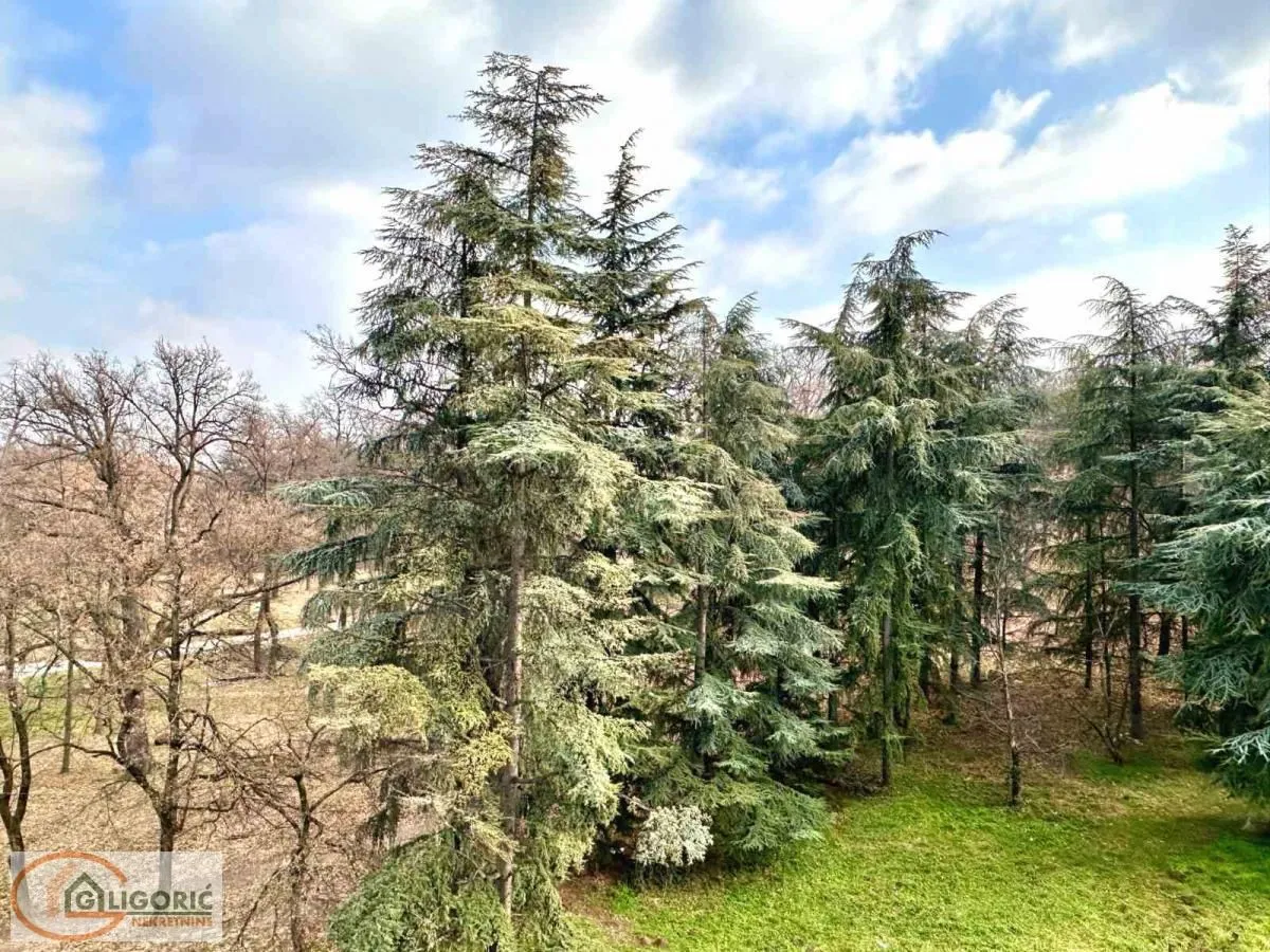 Izdavanje, kuća, 195m², Banovo Brdo, Beograd