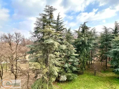 Izdavanje, kuća, 195m², Čukarica, Beograd - image 20