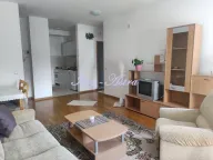 Izdavanje, dvosoban stan, 47m², Voždovac Sve Podlokacije, Beograd - image 3