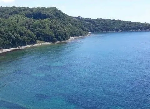 Prodaja, plac, 11049m², Utjeha, Bar - image 2