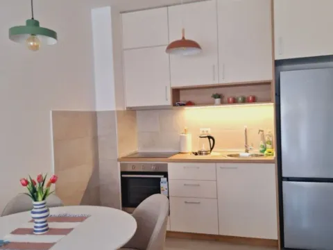 Rent, one bedroom apartment, 45m², Stari Aerodrom, Podgorica - image 5