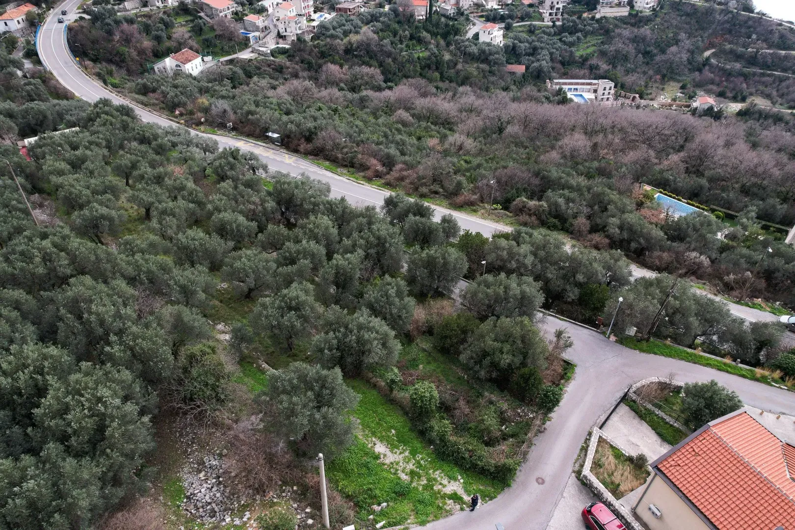 Pogled iz vazduha na okolinu sa putem i rastinjem.