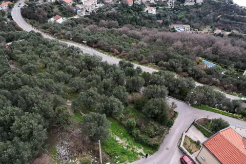 Pogled iz vazduha na okolinu sa putem i rastinjem. - image 3