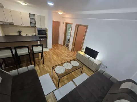 Dnevna soba sa kuhinjom i trpezarijskim šankom u stanu. - image 2
