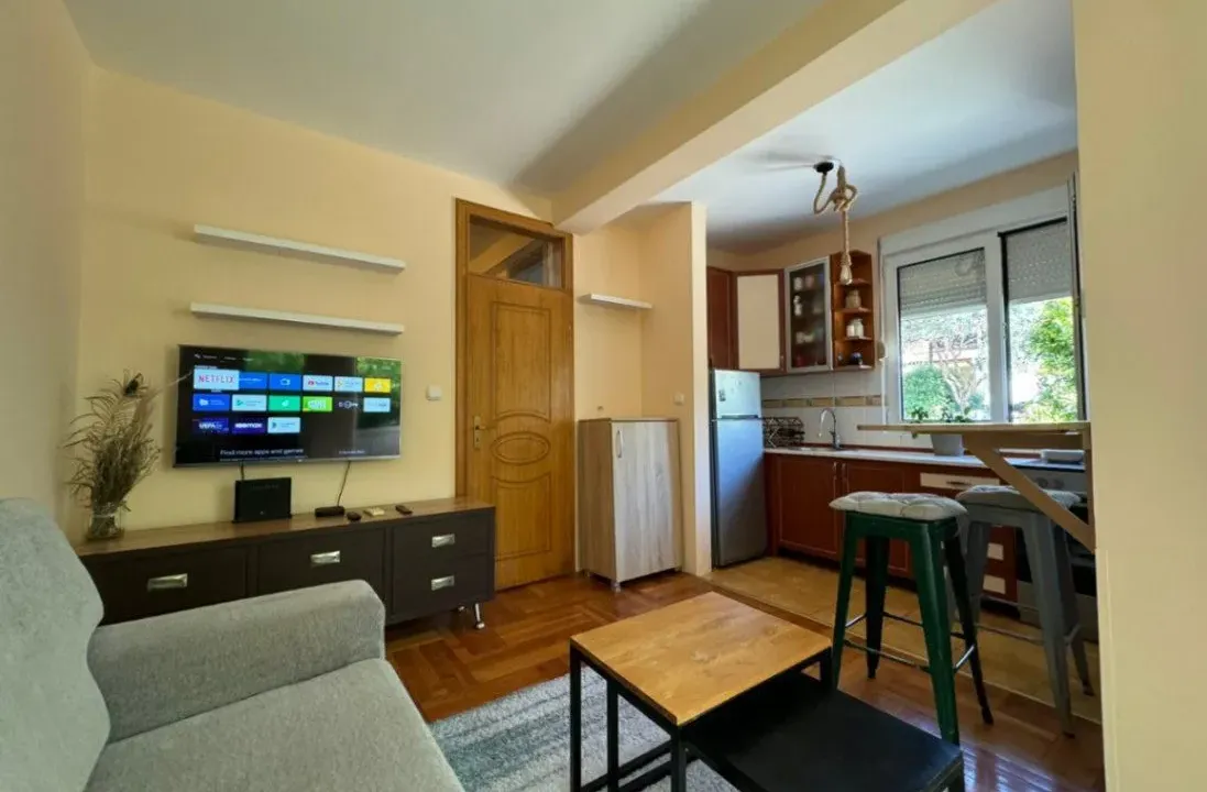 Rent, one bedroom apartment, 38m², Pod Goricom, Podgorica