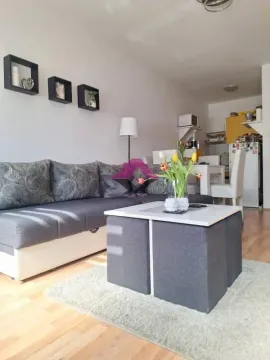 Sale, two bedroom apartment, 48m², Telep, Novi Sad Sve Podlokacije - image 3
