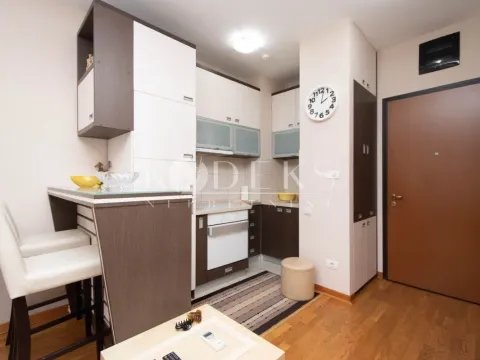 Izdavanje, garsonjera, 30m², City Kvart, Podgorica - image 4