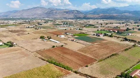 Pogled iz vazduha na poljoprivredno zemljište sa brdima u pozadini. - image 3