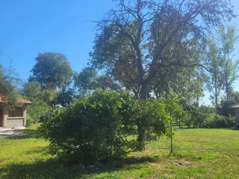 Rent, house, 89m², Pančevo, Srbija - image 10