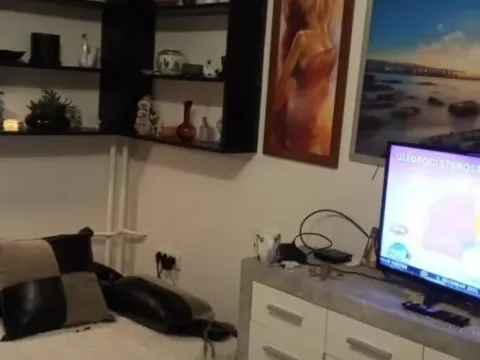 Prodaja, dvosoban stan, 48m², Satelit, Novi Sad Sve Podlokacije - image 2