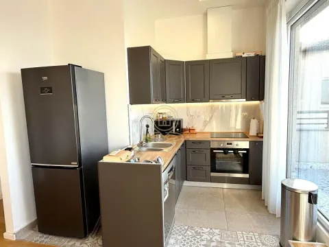 Rent, three bedroom apartment, 156m², Višnjička Banja, Palilula Sve Podlokacije - image 3