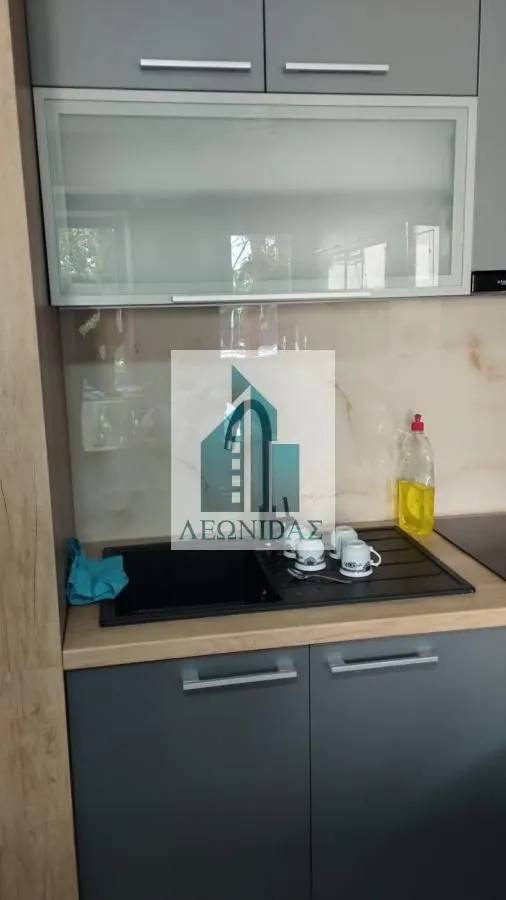 Rent, three bedroom apartment, 55m², Pantelej, Niš