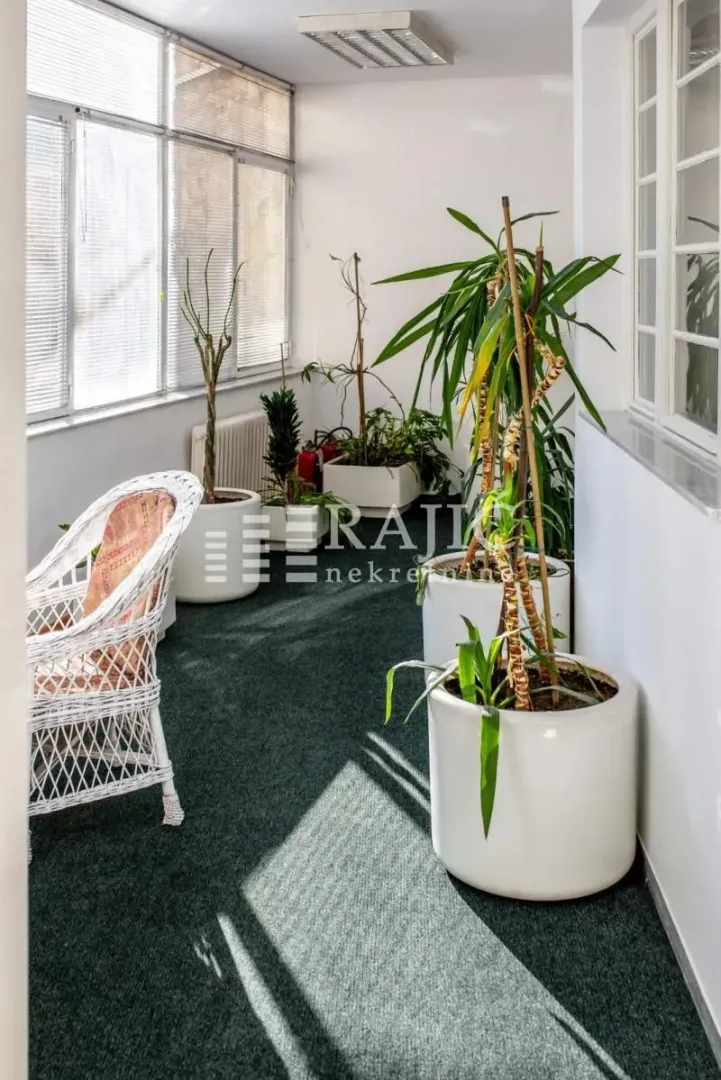 Enclosed terrace with many houseplants and a wicker armchair.