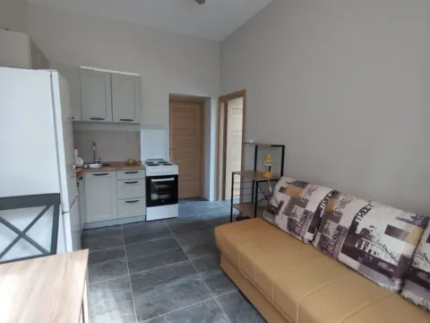 Izdavanje, jednosoban stan, 39m², Centar, Cetinje - image 3