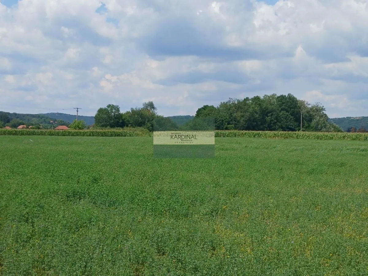 Prodaja, plac, 7500m², Novo Lanište, Jagodina