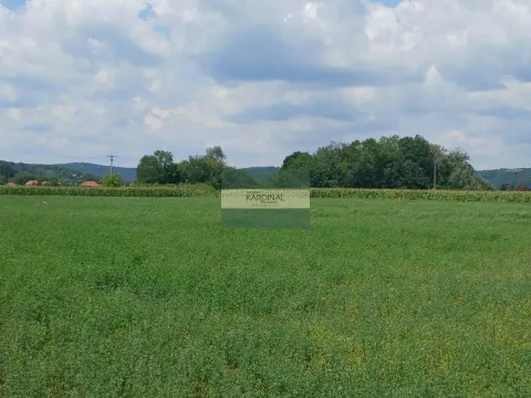 Prodaja, plac, 7500m², Novo Lanište, Jagodina - image 9