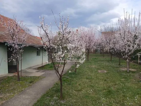 Prodaja, kuća, 114m², Mali Radanovac, Subotica - image 13