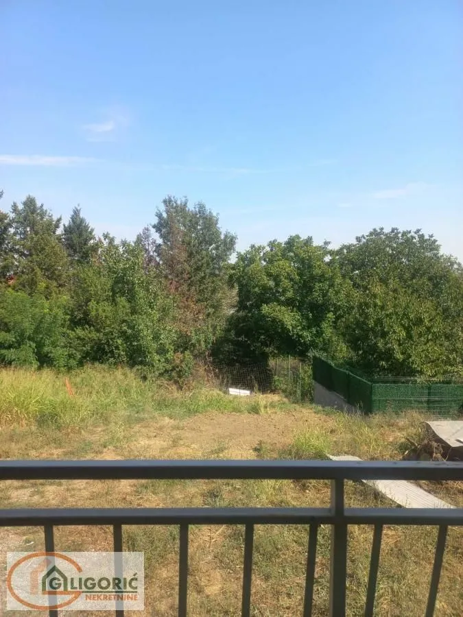 View of the green yard and surrounding vegetation from the terrace.