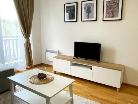 Sale, one bedroom apartment, 27m², Zlatibor, Srbija - image 6