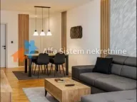 Izdavanje, dvosoban stan, 90m², Vračar Sve Podlokacije, Beograd - image 4