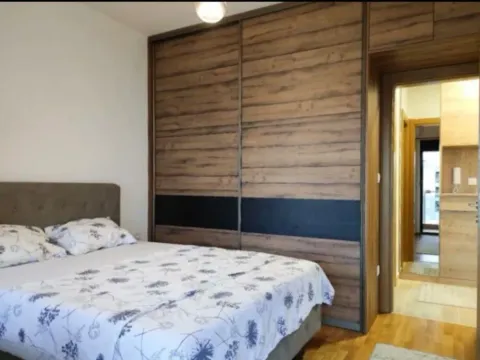 Izdavanje, jednosoban stan, 45m², Blok 9, Podgorica - image 3