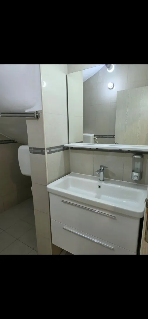 Modernly equipped bathroom with a sink and mirror.