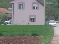 Sale, house, 140m², Miločani, Nikšić - image 2