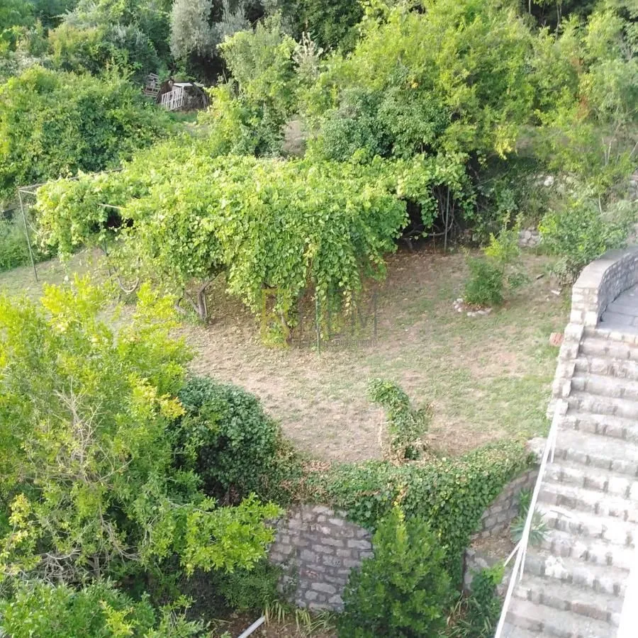 Pogled na zeleno dvorište sa vegetacijom i kamenim stepeništem.