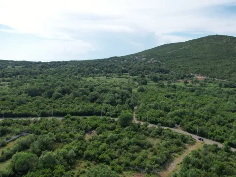 Prodaja, plac, 1817m², Zagora, Kotor - image 9