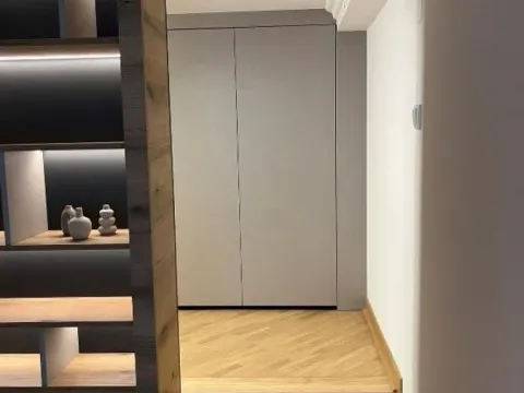 Izdavanje, jednosoban stan, 70m², Vračar Hram, Vračar Sve Podlokacije - image 12