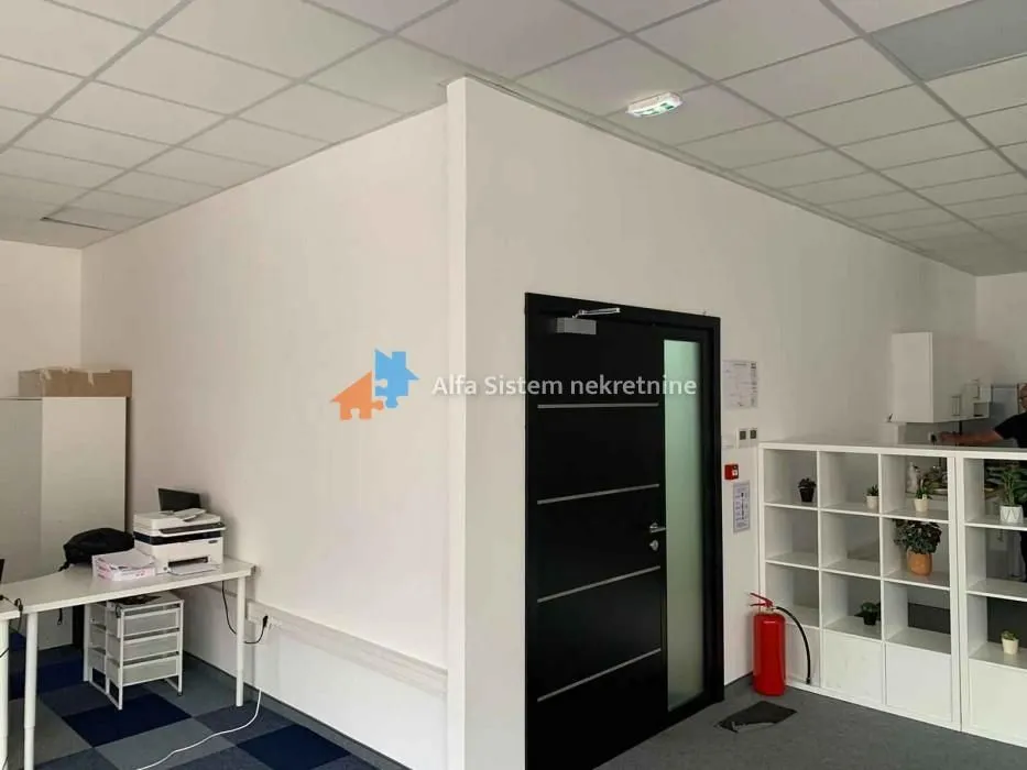 Izdavanje, poslovni prostor, 230m², Novi Beograd Sve Podlokacije, Beograd