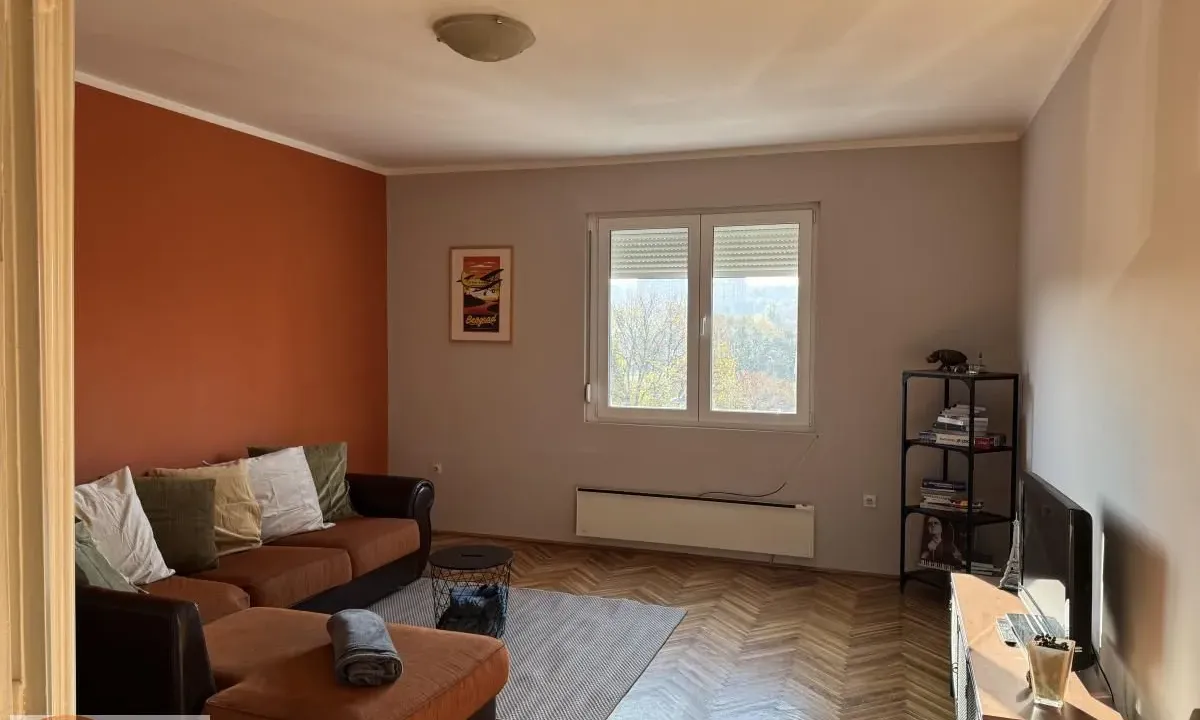 Izdavanje, dvosoban stan, 76m², Južni Bulevar, Vračar Sve Podlokacije