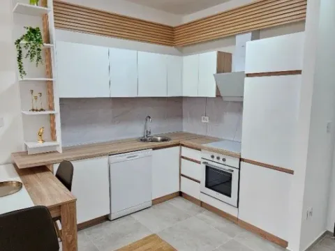 Izdavanje, jednosoban stan, 46m², Stari Aerodrom, Podgorica