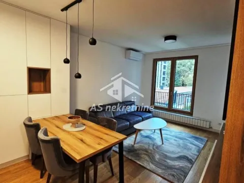 Izdavanje, dvosoban stan, 47m², Vračar Sve Podlokacije, Beograd - image 1