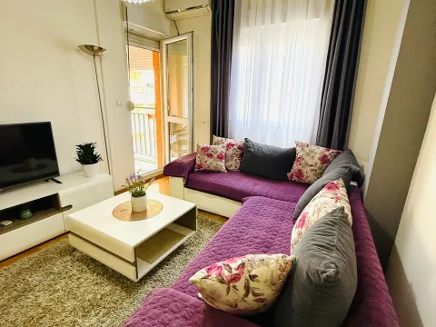 Izdavanje, jednosoban stan, 42m², Ljubović, Podgorica - image 4