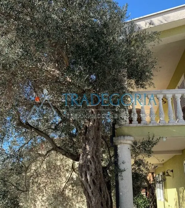 Sale, house, 299m², Petrovac, Budva