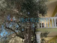 Sale, house, 299m², Petrovac, Budva - image 1