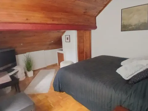 Rent, four bedroom apartment, 110m², Kalenić Pijaca, Vračar Sve Podlokacije - image 11