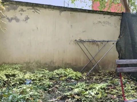 Izdavanje, garsonjera, 35m², Grbavica, Novi Sad Sve Podlokacije - image 12