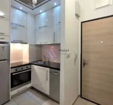 Rent, one bedroom apartment, 43m², Ljubović, Podgorica - image 8