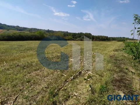 Prodaja, plac, 5000m², Nenadovac, Barajevo - image 16