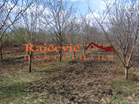 Prodaja, plac, 28000m², Palilula, Niš - image 3