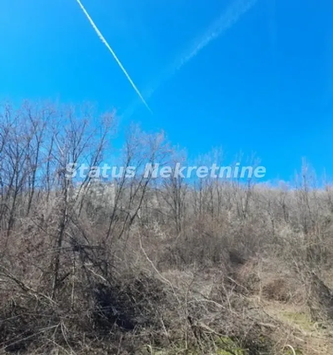 Sale, land lot, 7000m², Sremski Karlovci, Novi Sad