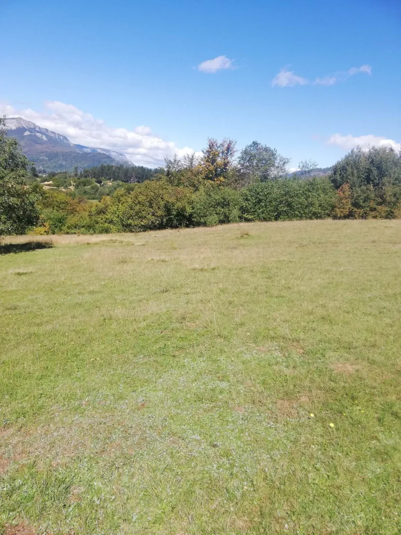 Prostrana zelena livada okružena drvećem pod plavim nebom.