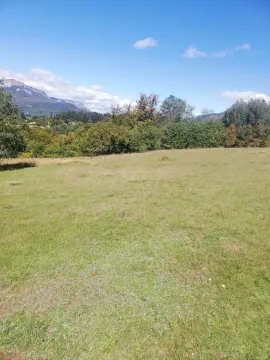 Prostrana zelena livada okružena drvećem pod plavim nebom. - image 5