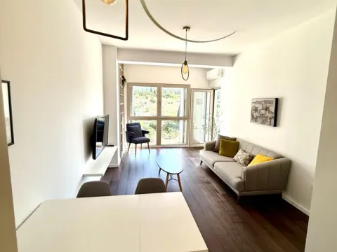 Rent, one bedroom apartment, 48m², Preko Morače, Podgorica - image 4