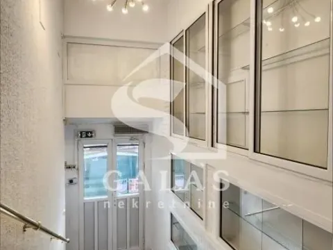 Izdavanje, kuća, 343m², Neimar, Vračar Sve Podlokacije - image 13