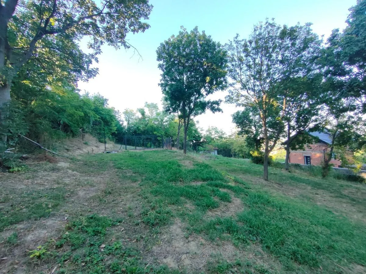 Prodaja, plac, 1900m², Sremska Kamenica, Petrovaradin