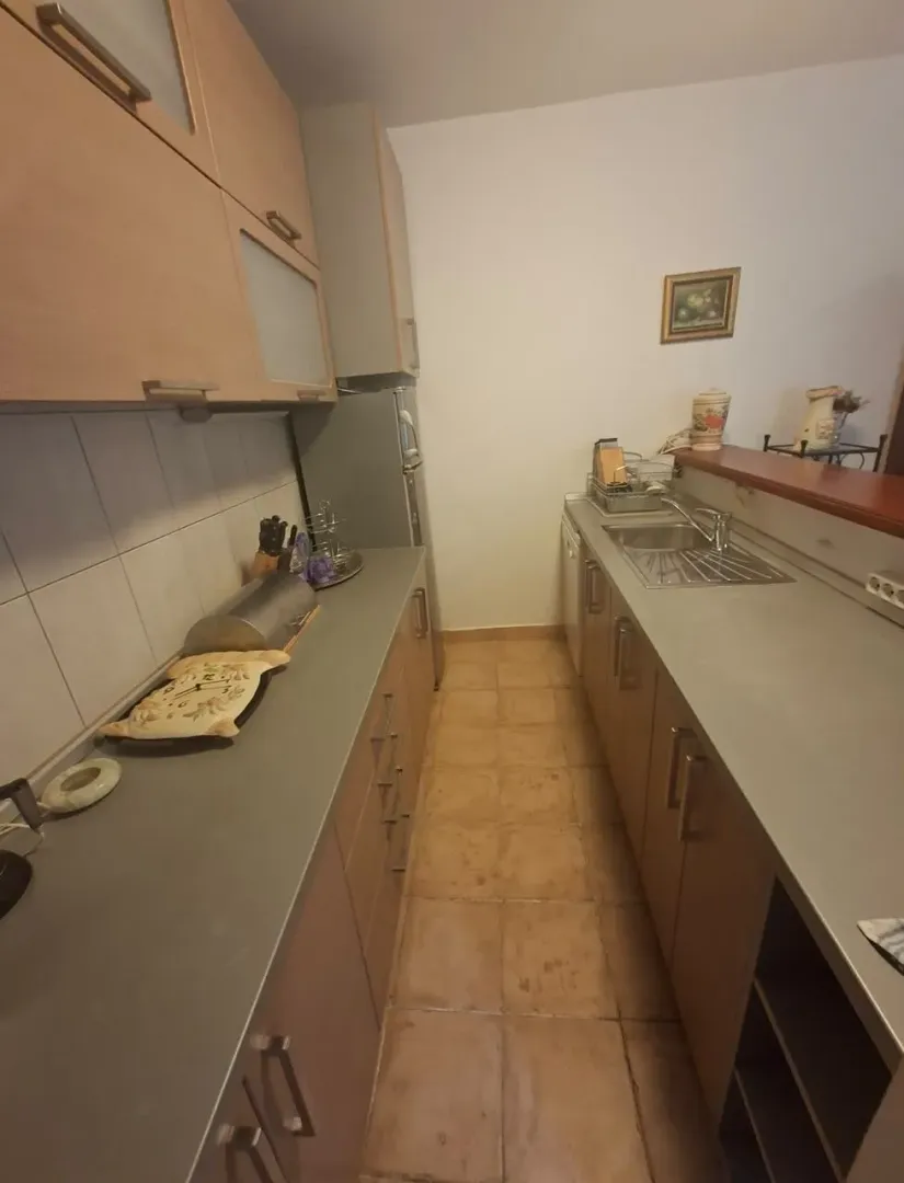 Manja kuhinja sa drvenim elementima i sudoperom.